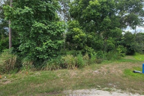 Land in Deltona, Florida № 1070491 - photo 1