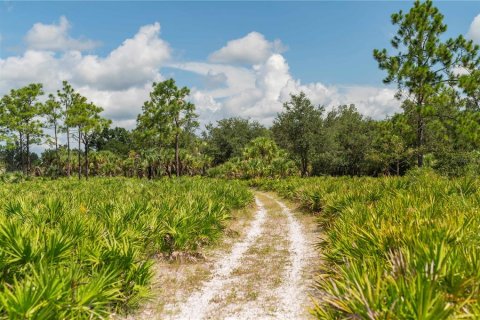 Terrain à vendre à Arcadia, Floride № 2313433 - photo 6