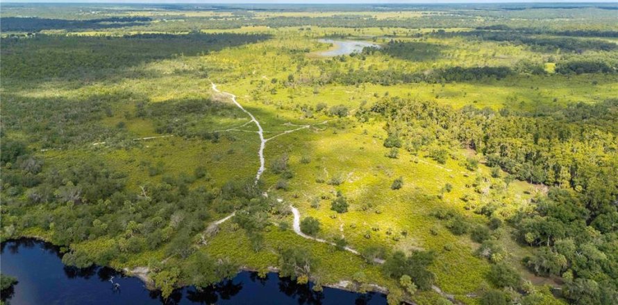 Terrain à Arcadia, Floride № 2313433