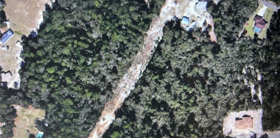 Land in Ocklawaha, Florida № 2124393