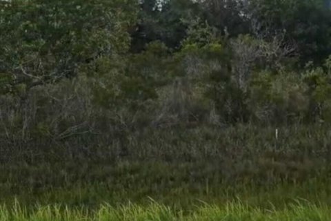 Commercial property in Okeechobee, Florida № 2191096 - photo 3