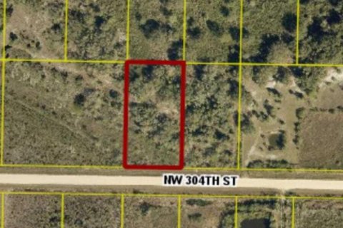 Commercial property in Okeechobee, Florida № 2191096