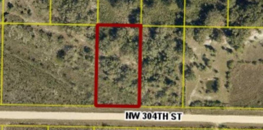 Commercial property in Okeechobee, Florida № 2191096