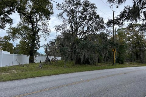 Terreno en venta en New Port Richey, Florida № 875176 - foto 4
