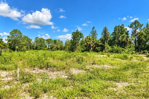 Land in Lehigh Acres, Florida № 2401371 - photo 2