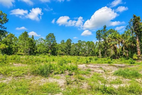 Land in Lehigh Acres, Florida № 2401371