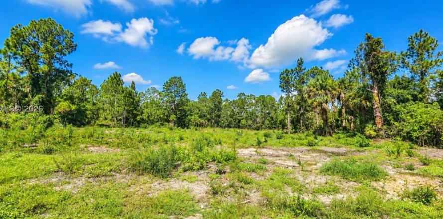 Land in Lehigh Acres, Florida № 2401371