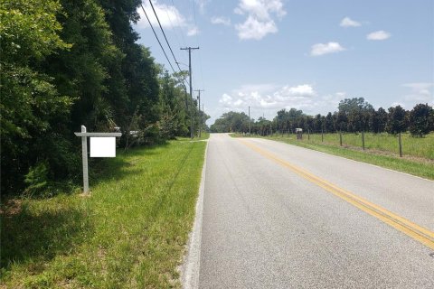 Land in De Leon Springs, Florida № 2198242 - photo 6