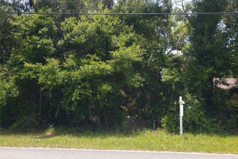 Land in De Leon Springs, Florida № 2198242 - photo 3