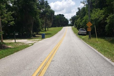 Land in De Leon Springs, Florida № 2198242 - photo 5
