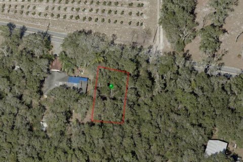 Land in De Leon Springs, Florida № 2198242 - photo 7