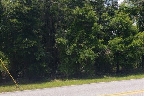 Land in De Leon Springs, Florida № 2198242 - photo 2