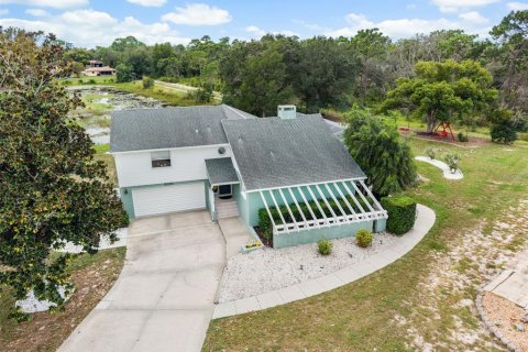 Villa ou maison à Weeki Wachee, Floride 3 chambres, 214.33 m2 № 2404768