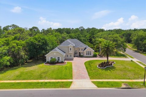 Casa en venta en Orlando, Florida, 5 dormitorios, 400.41 m2 № 2210616 - foto 7