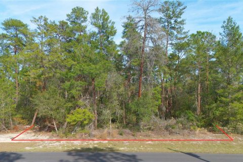 Terrain à Ocala, Floride № 2165316