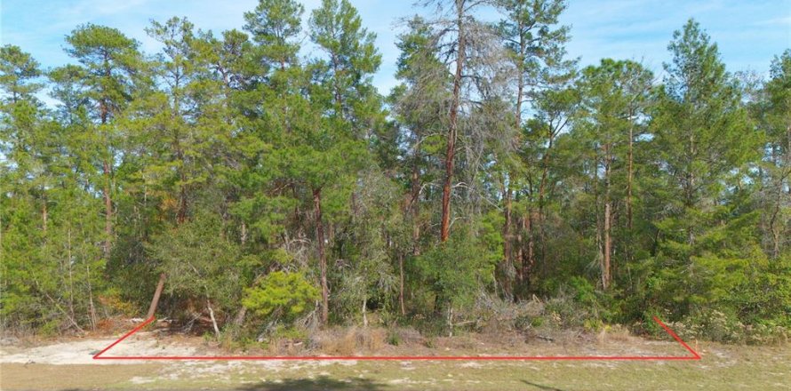 Terrain à Ocala, Floride № 2165316