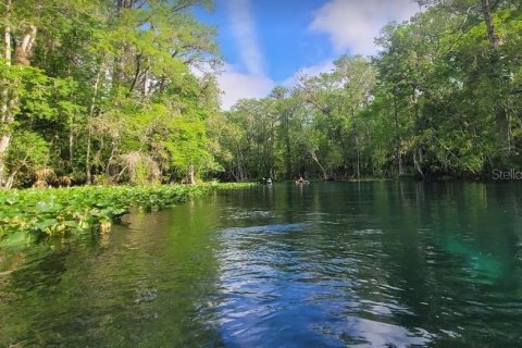Land in Ocala, Florida № 2160463 - photo 6