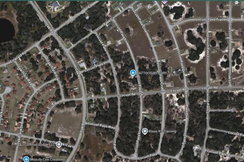 Land in Ocala, Florida № 2160463 - photo 3