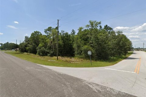 Land in Ocala, Florida № 2160463