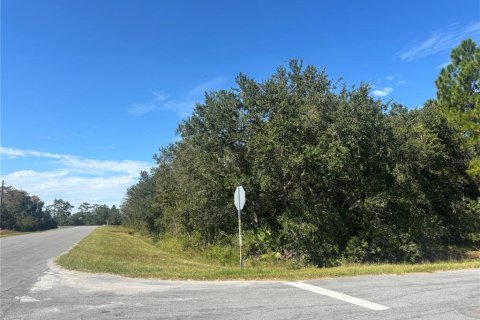Land in Orlando, Florida № 2125307