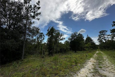 Terrain à vendre à Williston, Floride № 2237413 - photo 3