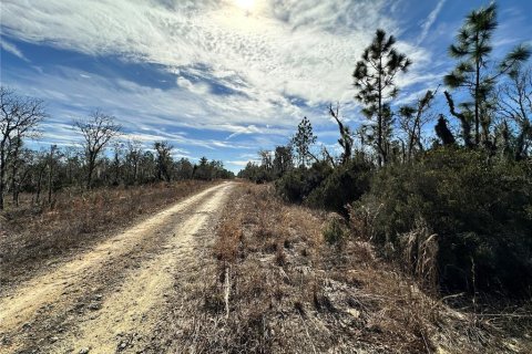 Terrain à vendre à Williston, Floride № 2237413 - photo 8