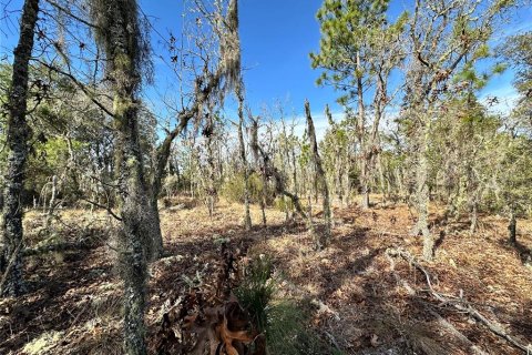 Terrain à vendre à Williston, Floride № 2237413 - photo 6