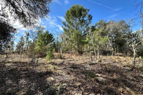 Terrain à vendre à Williston, Floride № 2237413 - photo 5