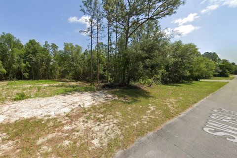 Terrain à vendre à Ocala, Floride № 2212848 - photo 4