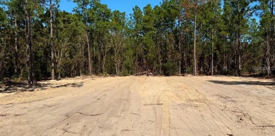 Terrain à Ocala, Floride № 2212848
