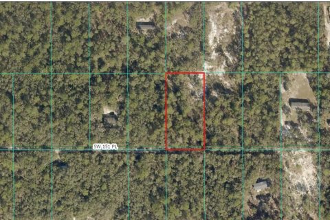 Terrain à Dunnellon, Floride № 2109672