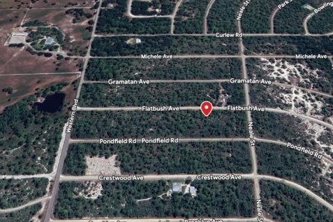 Land in Lake Placid, Florida № 2161585 - photo 2