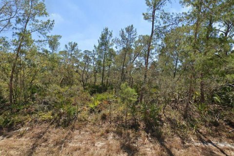 Land in Lake Placid, Florida № 2161585
