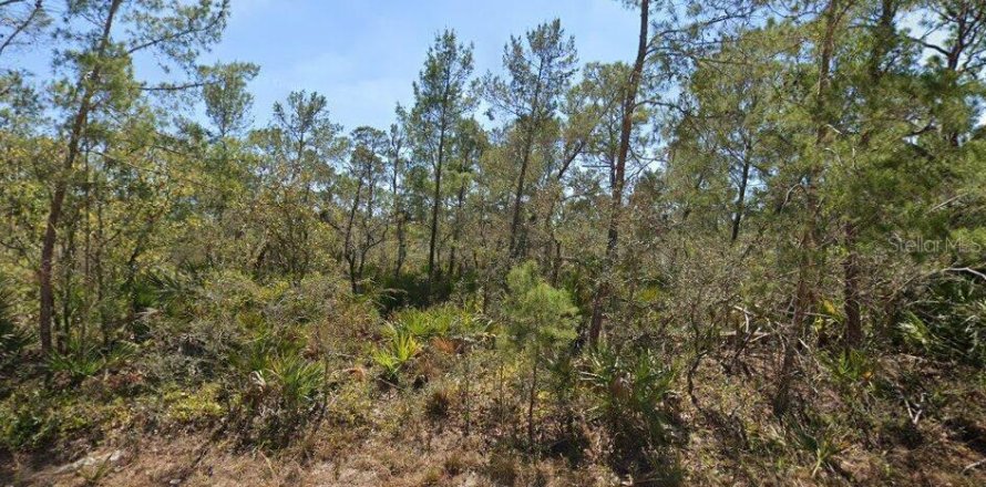 Land in Lake Placid, Florida № 2161585