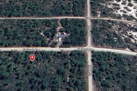 Land in Lake Placid, Florida № 2161585 - photo 3
