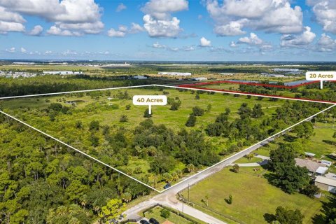 Terrain à Punta Gorda, Floride № 2130492