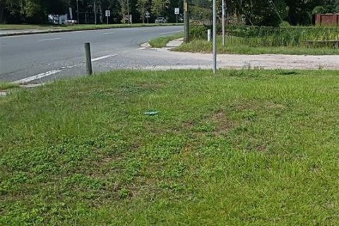 Land in Waldo, Florida № 2379491 - photo 6