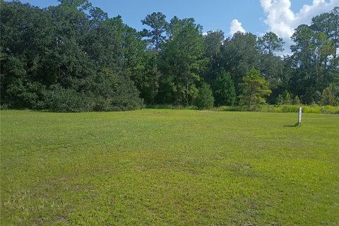 Land in Waldo, Florida № 2379491