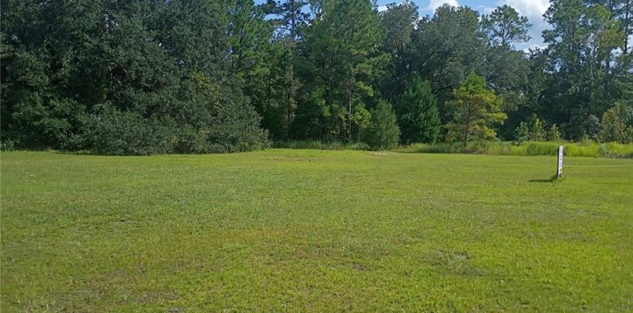 Land in Waldo, Florida № 2379491