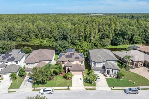 Villa ou maison à vendre à Trinity, Floride: 4 chambres, 302.86 m2 № 2296289 - photo 3