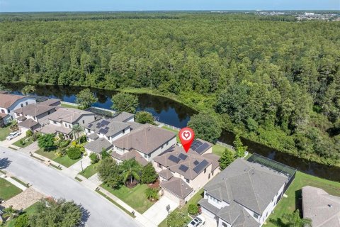 Villa ou maison à vendre à Trinity, Floride: 4 chambres, 302.86 m2 № 2296289 - photo 6