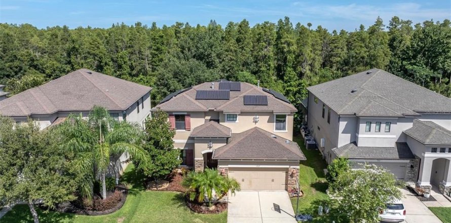Villa ou maison à Trinity, Floride 4 chambres, 302.86 m2 № 2296289