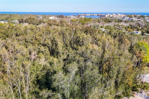 Terreno en venta en Port Richey, Florida № 1642874 - foto 26
