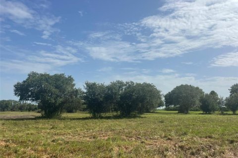 Terrain à Clewiston, Floride № 2305200
