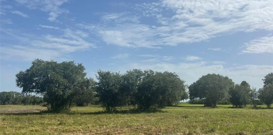 Terreno en Clewiston, Florida № 2305200
