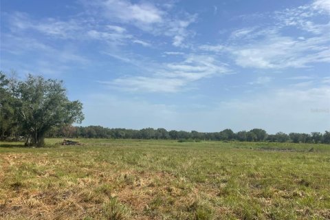 Terreno en venta en Clewiston, Florida № 2305200 - foto 2