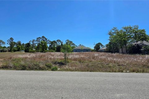 Land in Cape Coral, Florida № 1861457 - photo 1