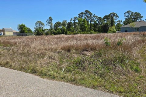 Land in Cape Coral, Florida № 1861457 - photo 3