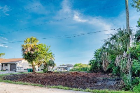 Terreno en venta en Port Charlotte, Florida № 1902293 - foto 16