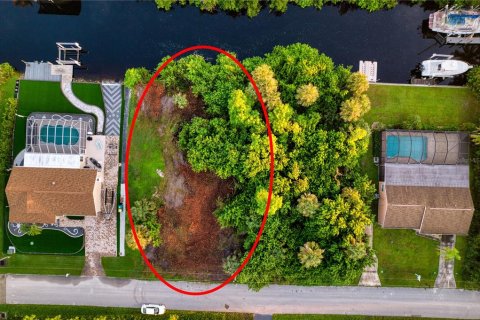 Terreno en venta en Port Charlotte, Florida № 1902293 - foto 19